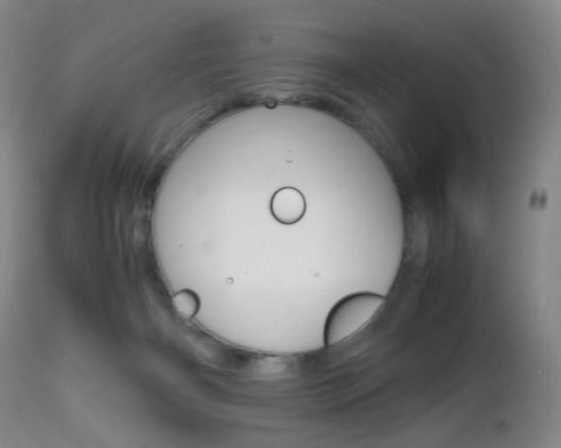 X0000112970126200908270953