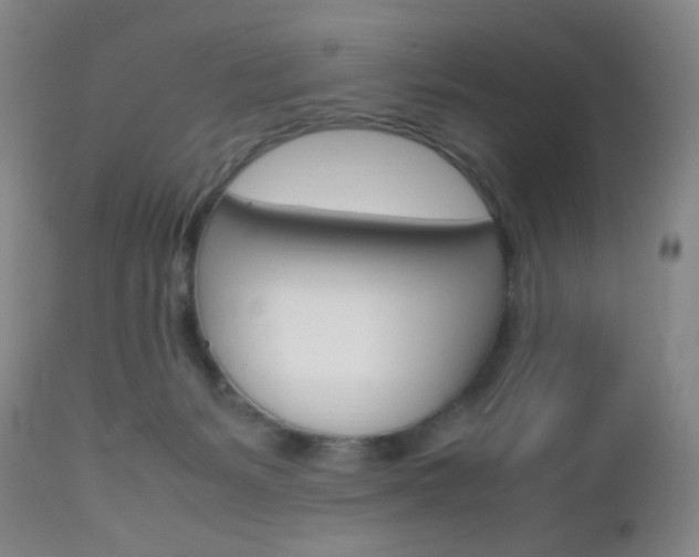 X0000112970127200908270953