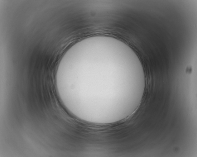 X0000112970128200908270953