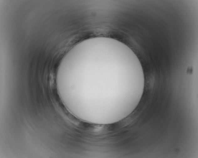 X0000112970130200908270953