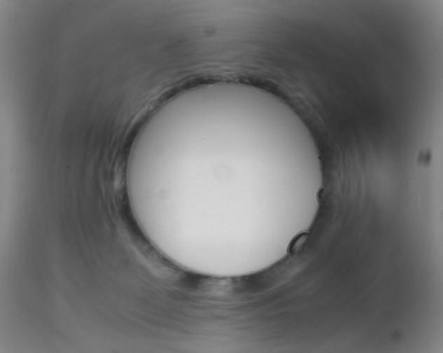 X0000112970131200908270953