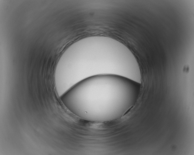 X0000112970132200908270953