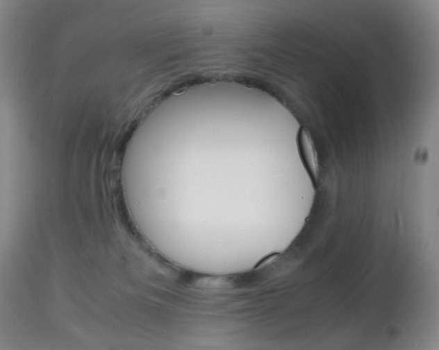X0000112970133200908270953
