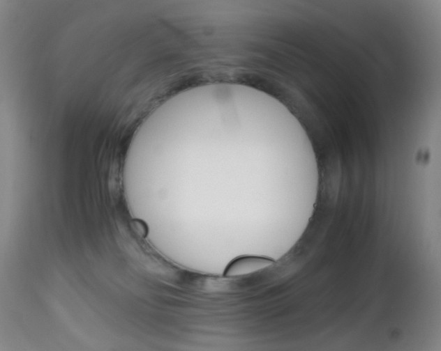 X0000112970134200908270953