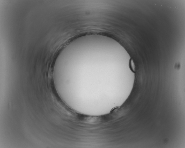 X0000112970135200908270953