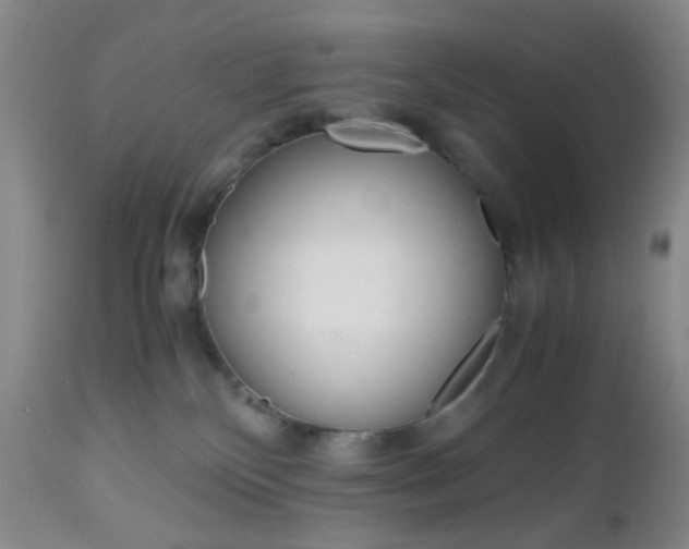 X0000112970136200908270953