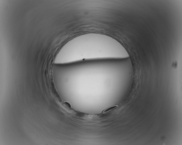 X0000112970137200908270953