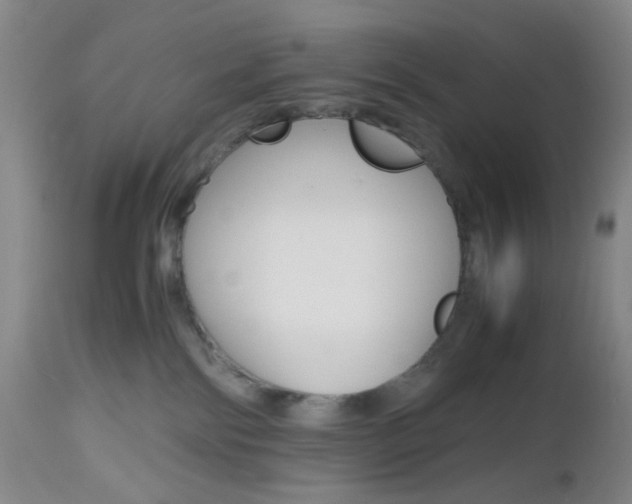 X0000112970138200908270952