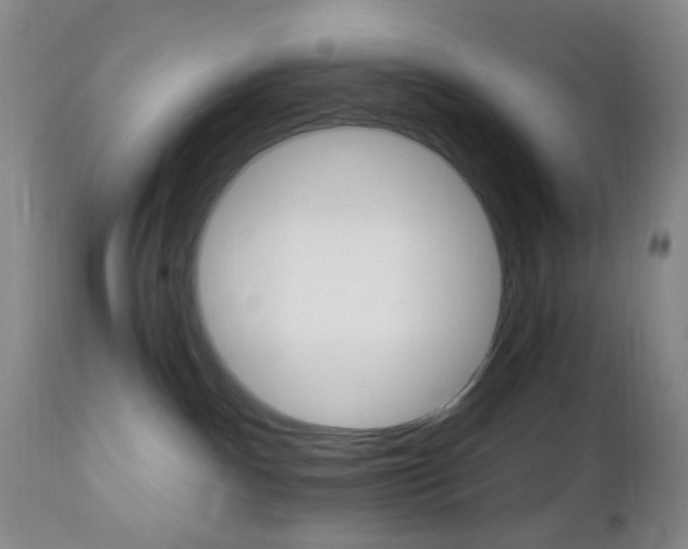 X0000112970140200908270952