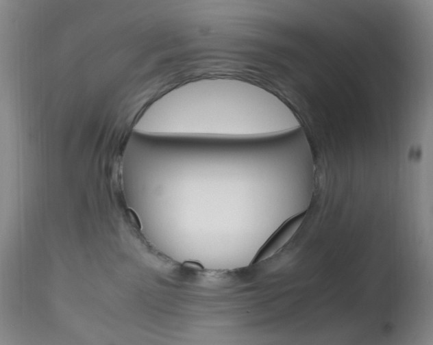 X0000112970141200908270952