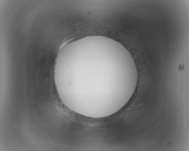 X0000112970144200908270952