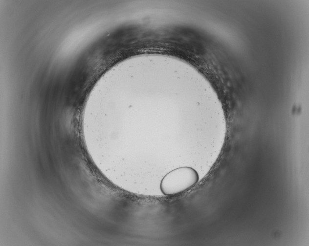 X0000112970146200908270952