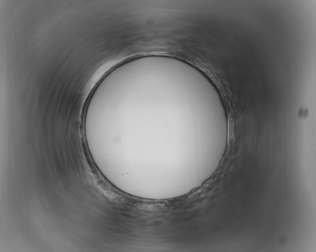 X0000112970147200908270952