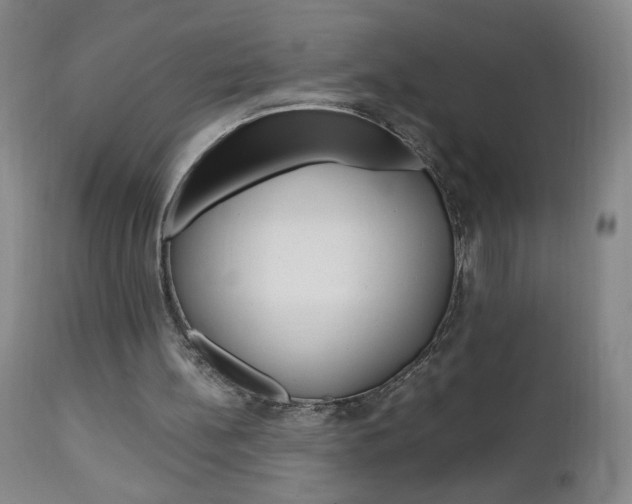 X0000112970148200908270952