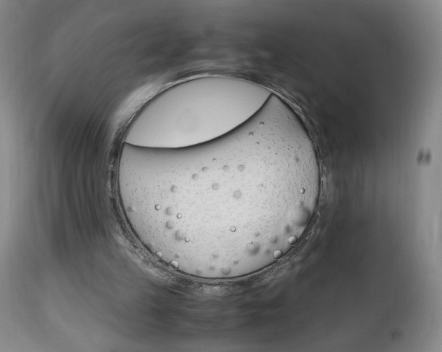 X0000112970149200908270952