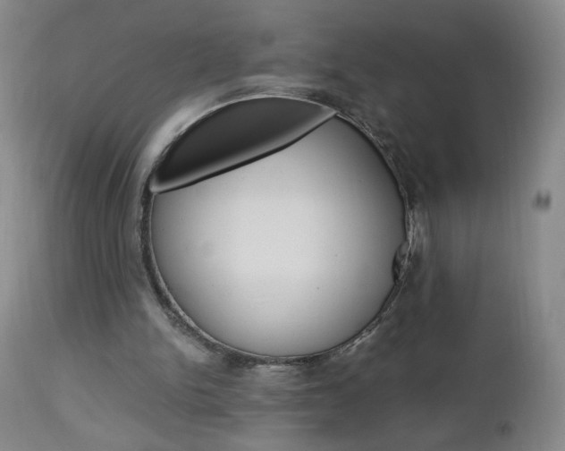 X0000112970150200908270952
