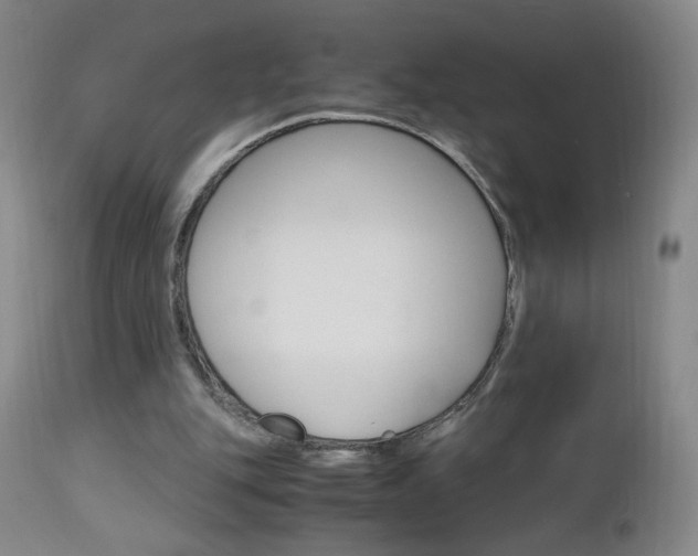 X0000112970151200908270952
