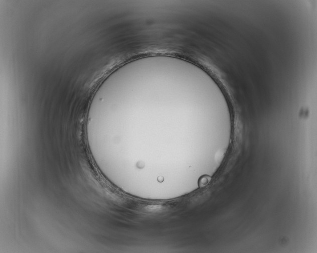 X0000112970153200908270952