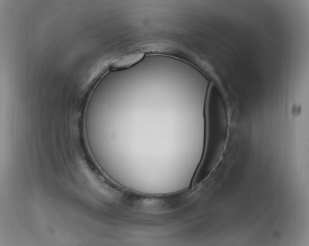 X0000112970154200908270952