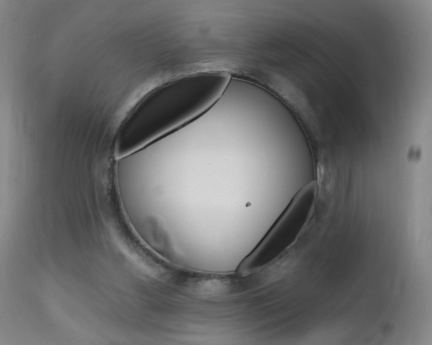 X0000112970156200908270952