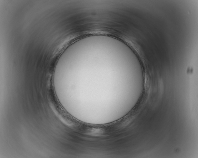 X0000112970157200908270952