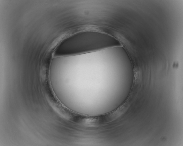 X0000112970158200908270952