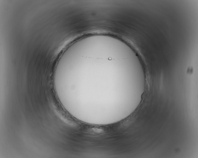 X0000112970159200908270952