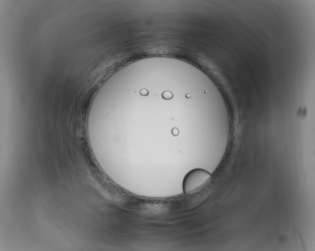 X0000112970161200908270952
