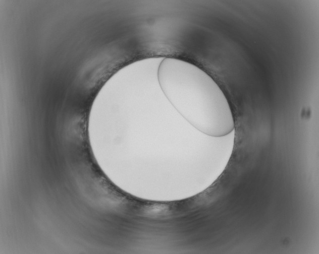 X0000112970162200908270952