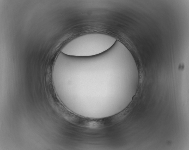 X0000112970163200908270952