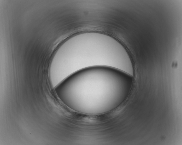 X0000112970164200908270952