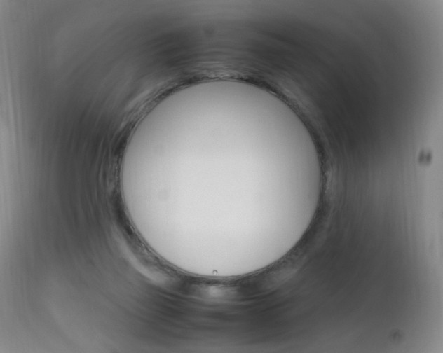 X0000112970165200908270952