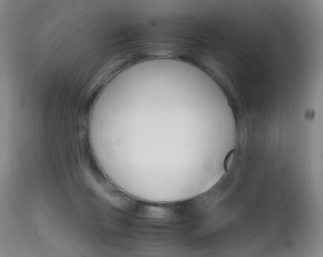 X0000112970167200908270952
