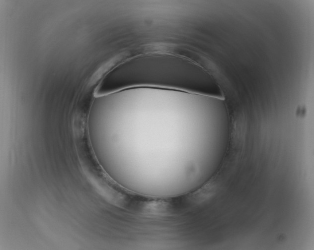 X0000112970168200908270952
