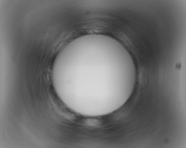 X0000112970169200908270952