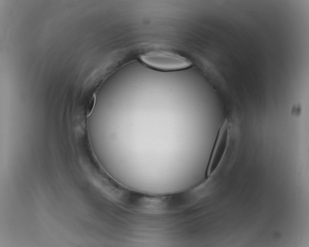 X0000112970170200908270952