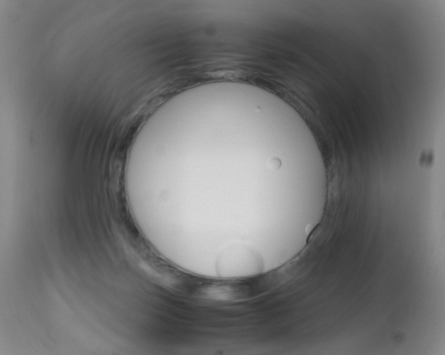 X0000112970171200908270952