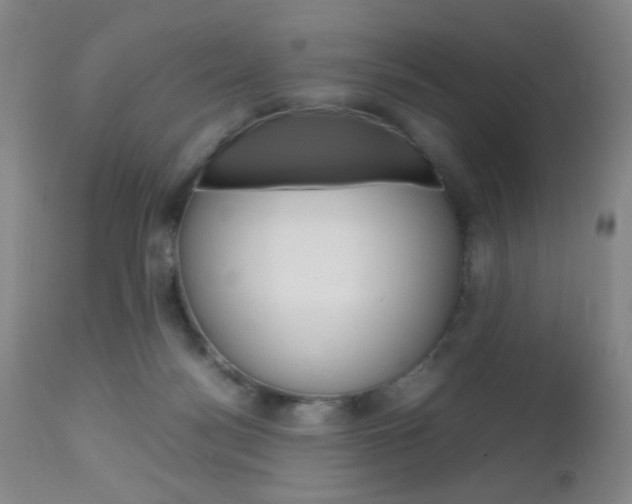 X0000112970172200908270952