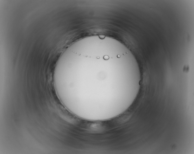 X0000112970173200908270952