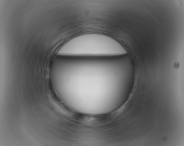 X0000112970174200908270952