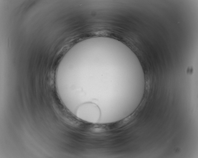 X0000112970175200908270952