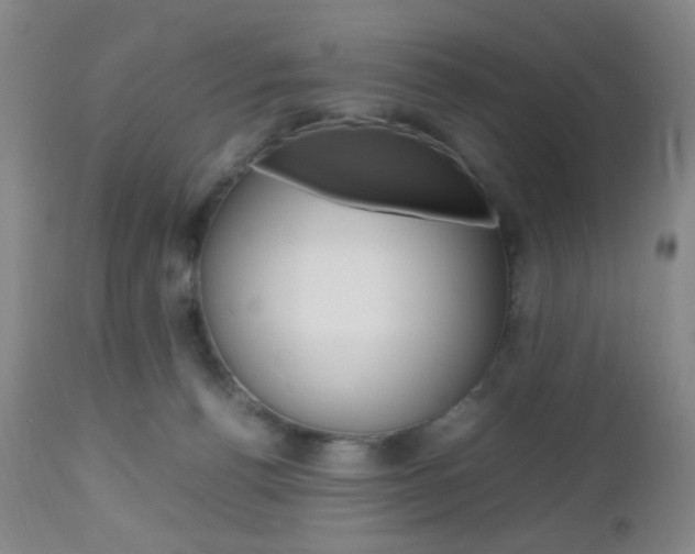 X0000112970176200908270952