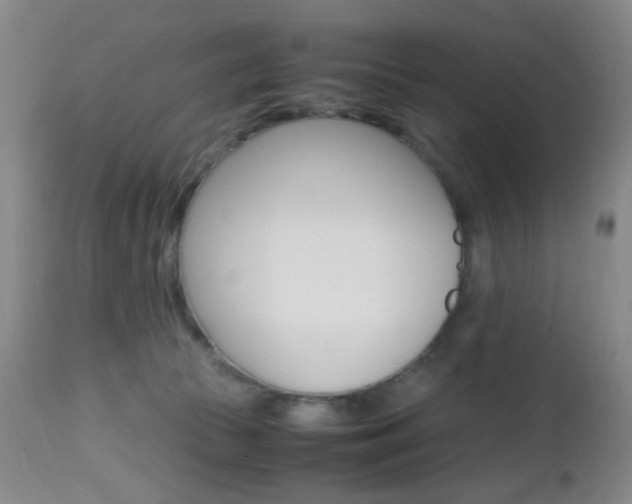X0000112970177200908270952