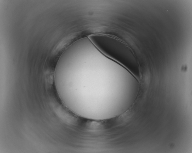 X0000112970180200908270952
