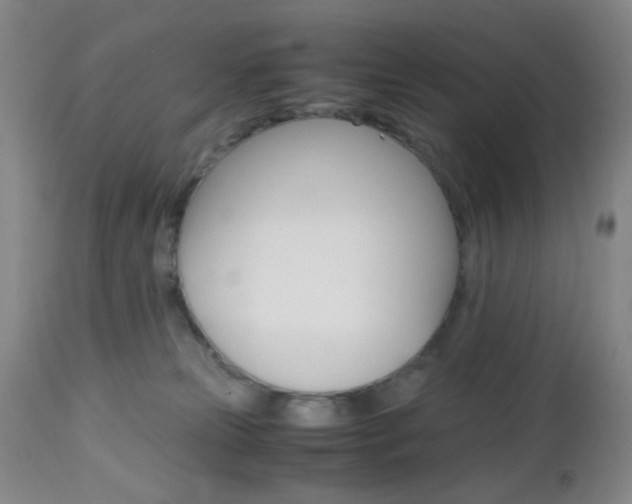 X0000112970181200908270952