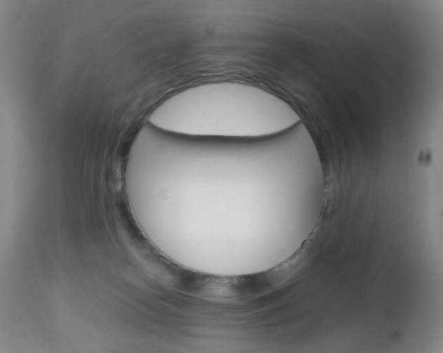 X0000112970182200908270952