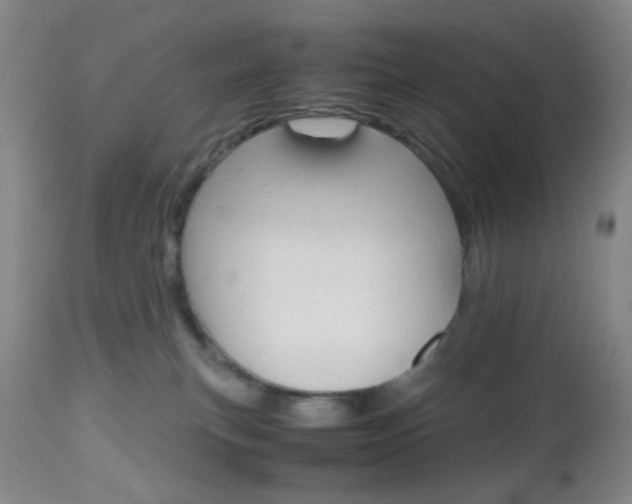 X0000112970183200908270952