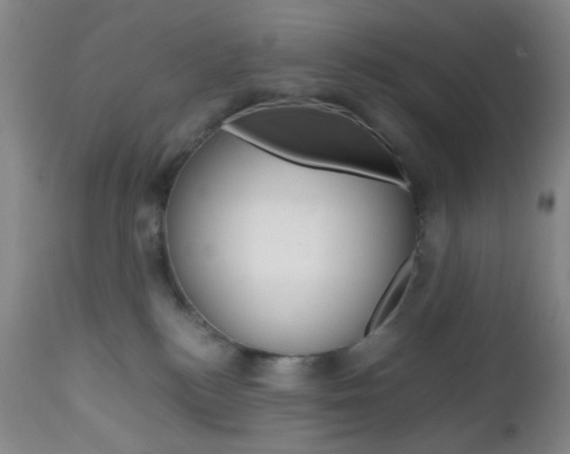 X0000112970184200908270952