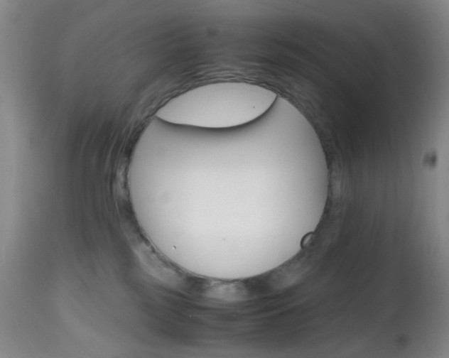 X0000112970185200908270952