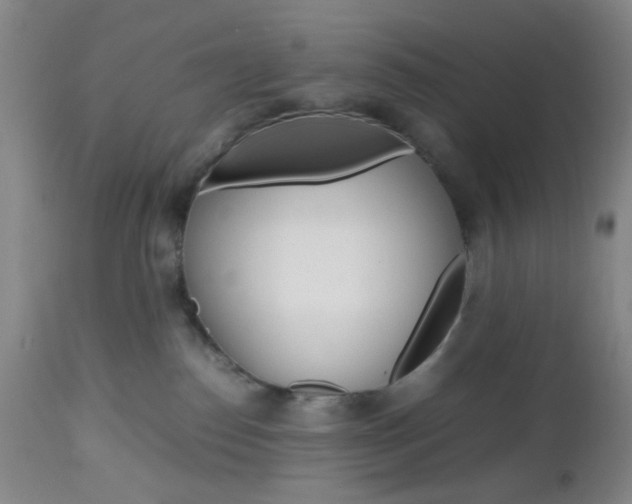X0000112970186200908270952